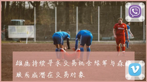 雄鹿持续寻求交易机会绿军与森林狼或成潜在交易对象